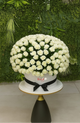 Crown of Purity – 301 White Roses in Box